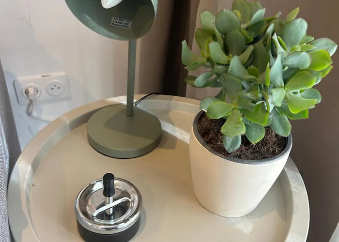 Confortable, Equipe, Balcon ,hyper Centre * Гренобль